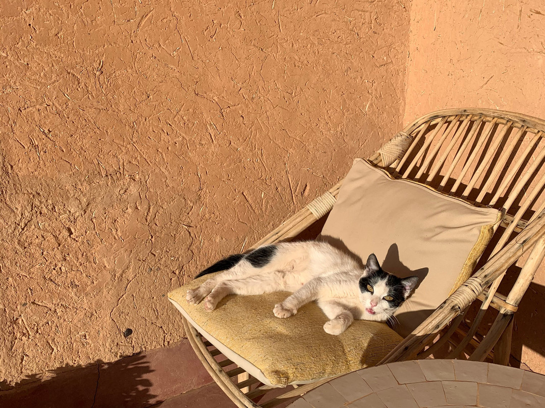 Kasbah Agoulzi主图