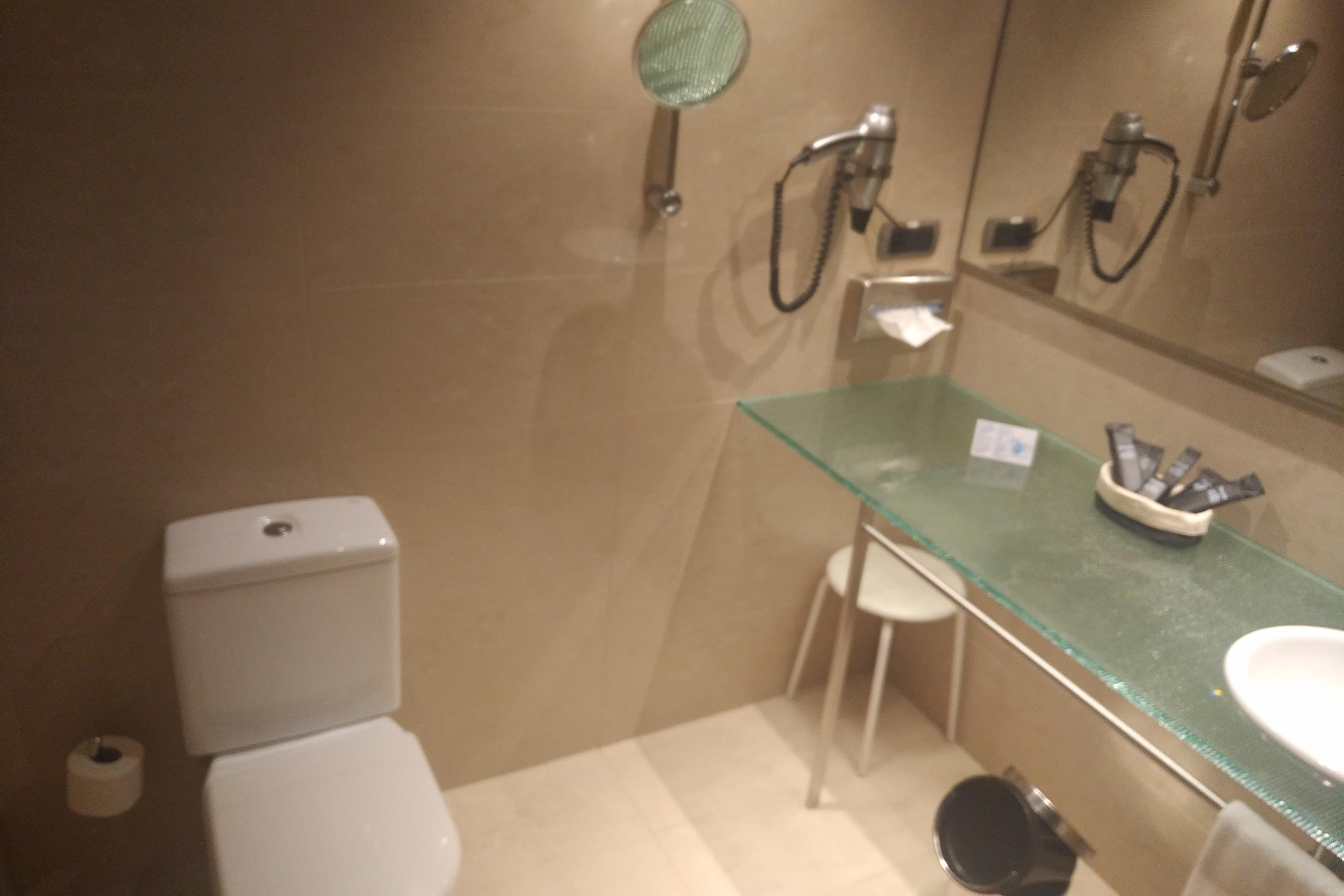 Hotel Luz Castellon-浴室