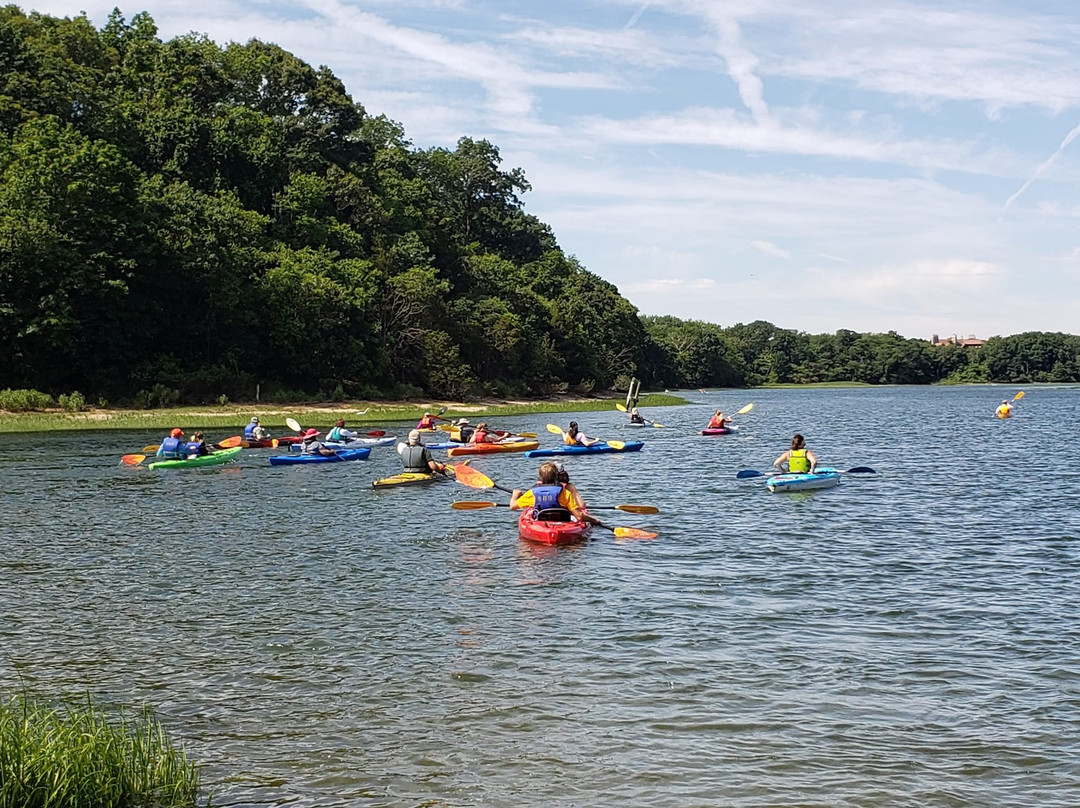 Stony Brook Harbor Kayak & Paddleboard Rentals景点图片