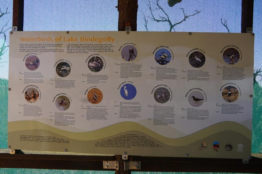 Lake Bindegolly National Park-Thargomindah必去景点