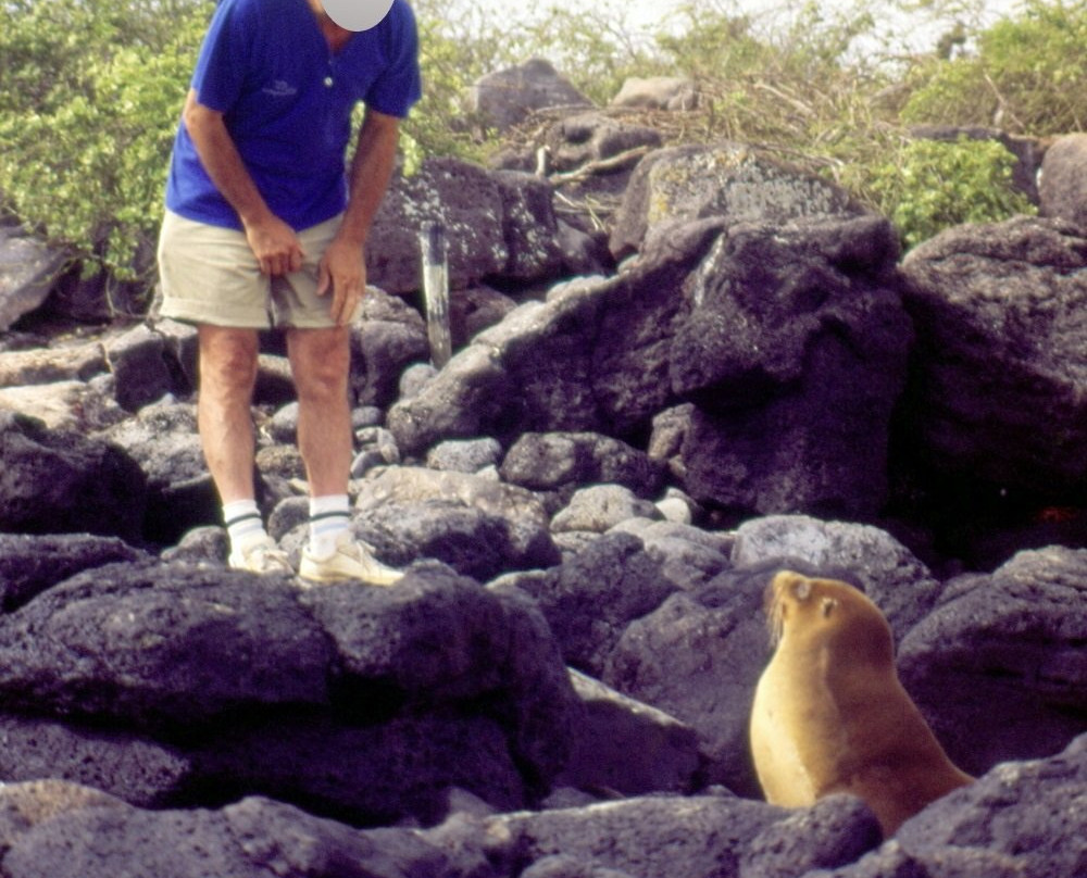 Parque Nacional Galapagos景点图片