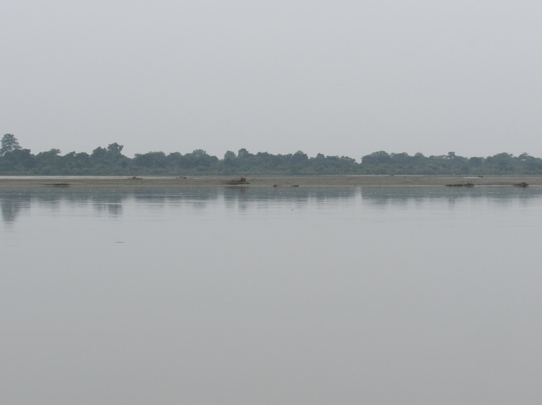 Dibru Saikhowa National Park景点图片