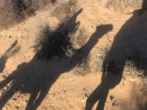 Lima Dromadaire-索维拉必去景点