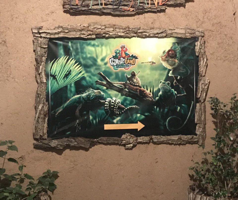 Lizards Land景点图片