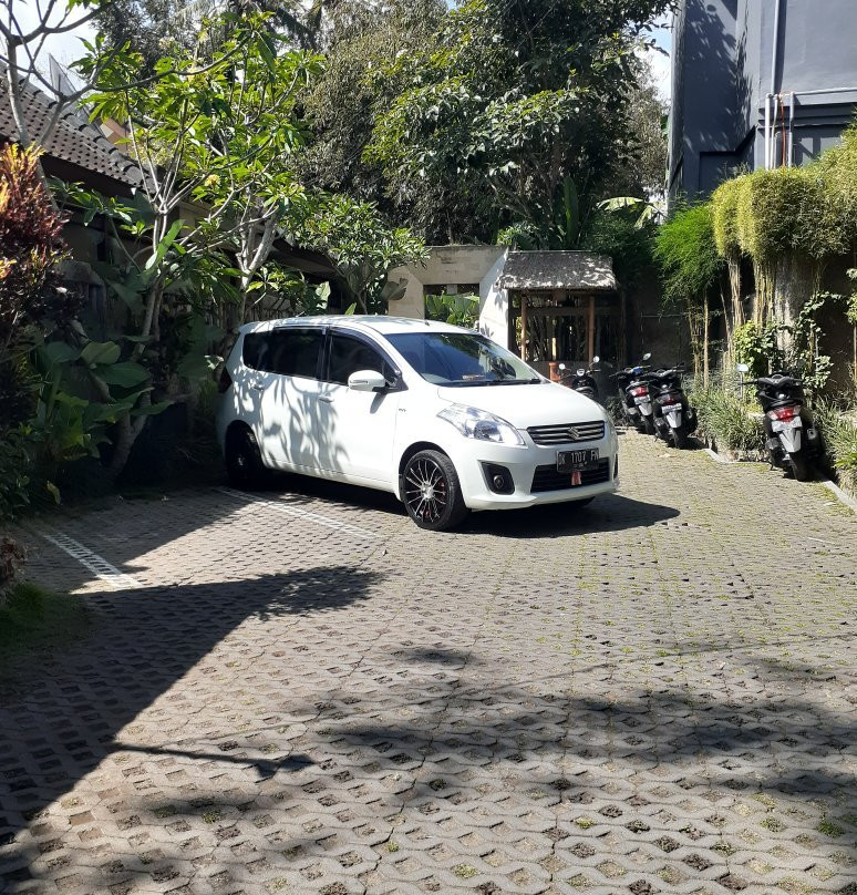 Adinata Ubud Tour景点图片