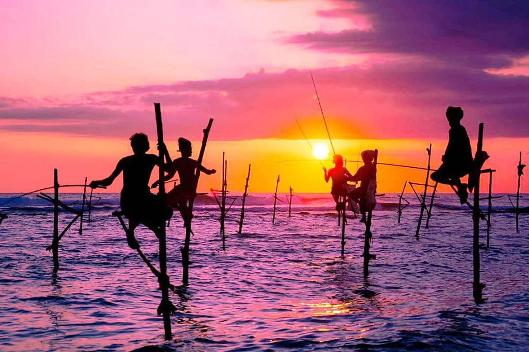 Stilt Fishermen Sri Lanka景点图片