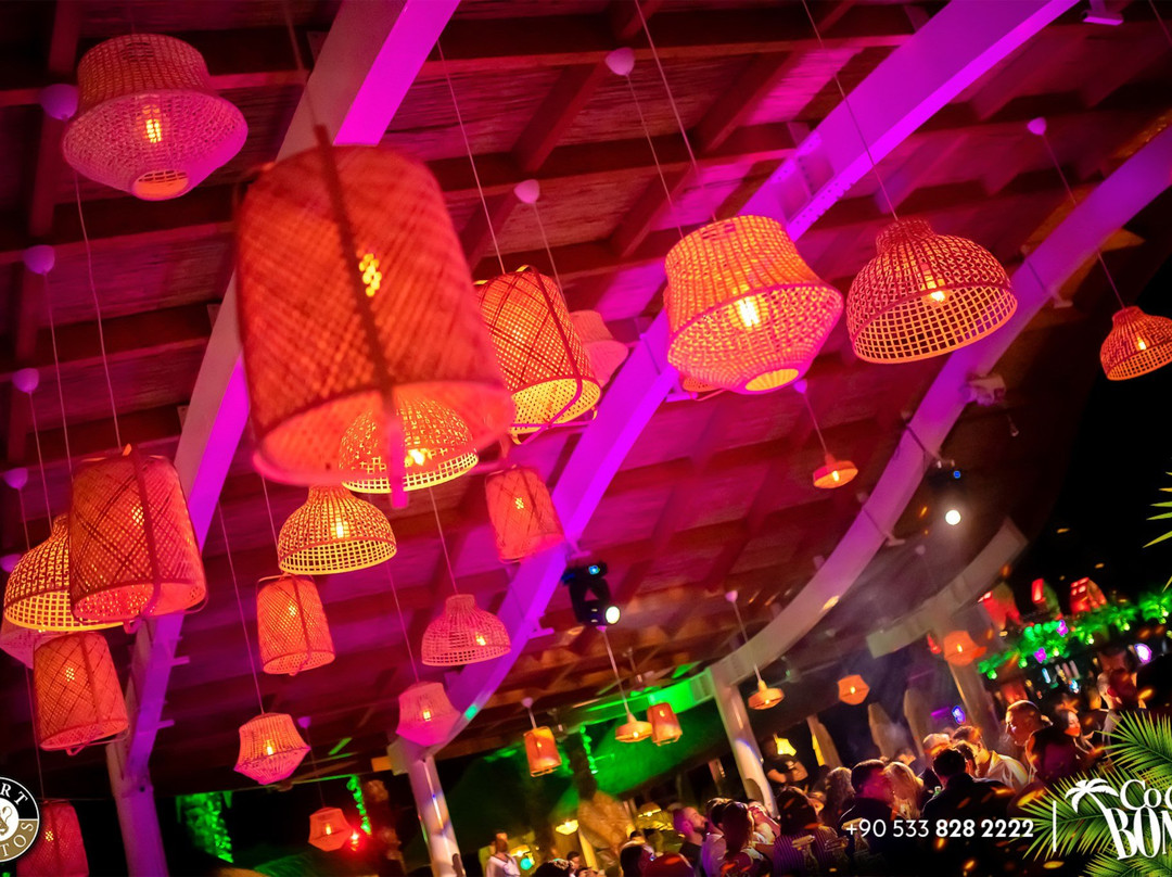 Coco Bongo Island景点图片