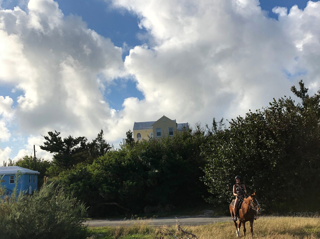 Moran Meadows-圣乔治必去景点