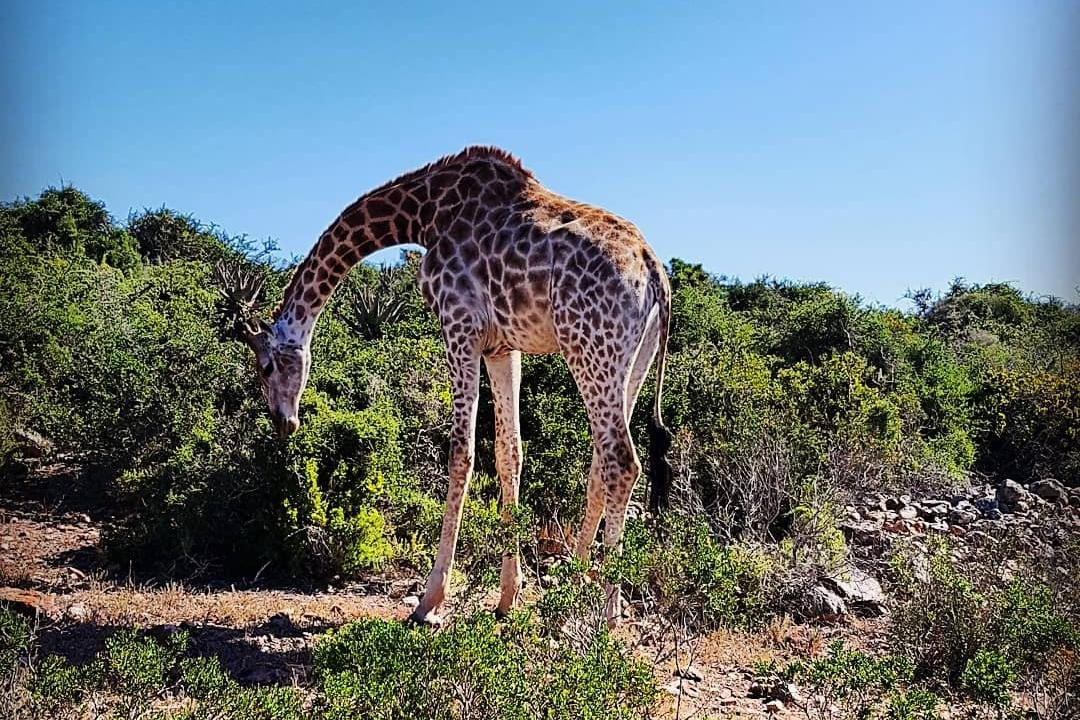 Tendi's Travel-开普敦中心区必去景点