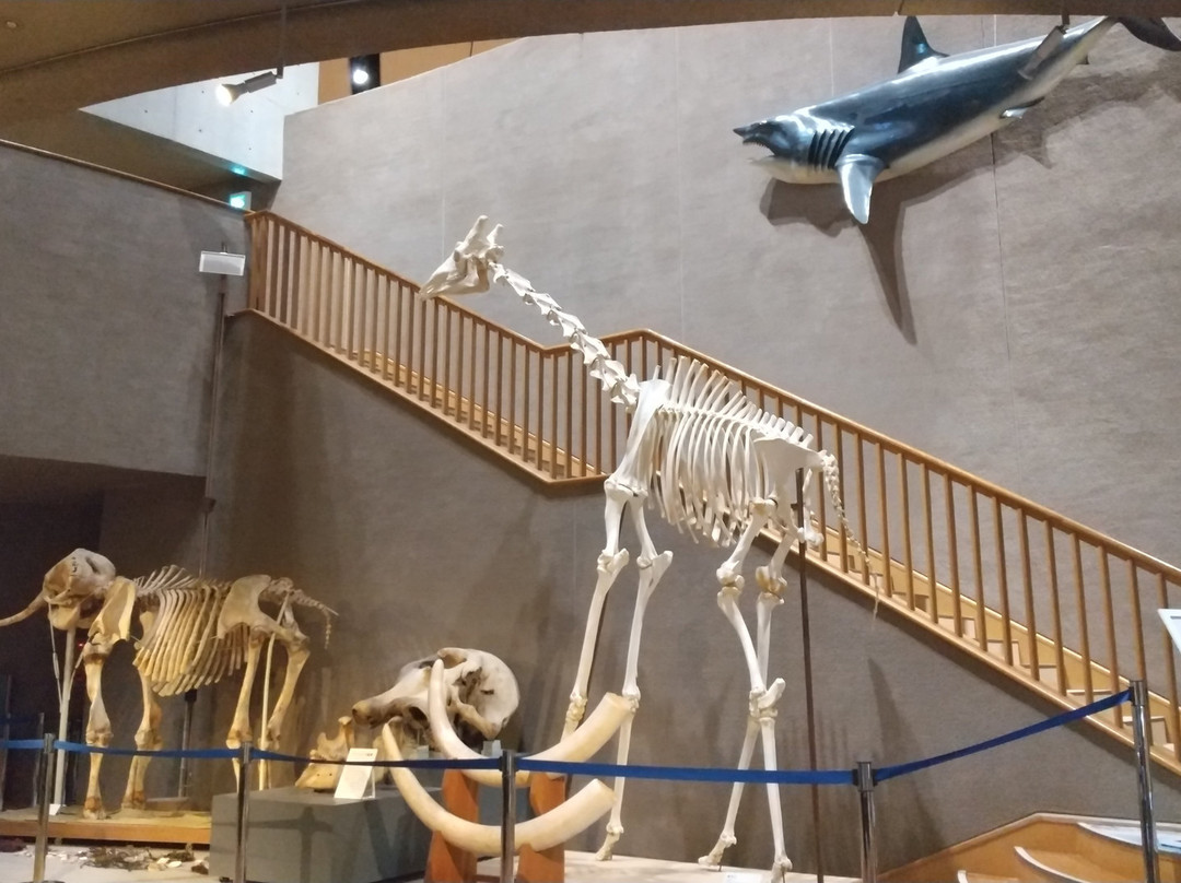 Gunma Natural Museum景点图片