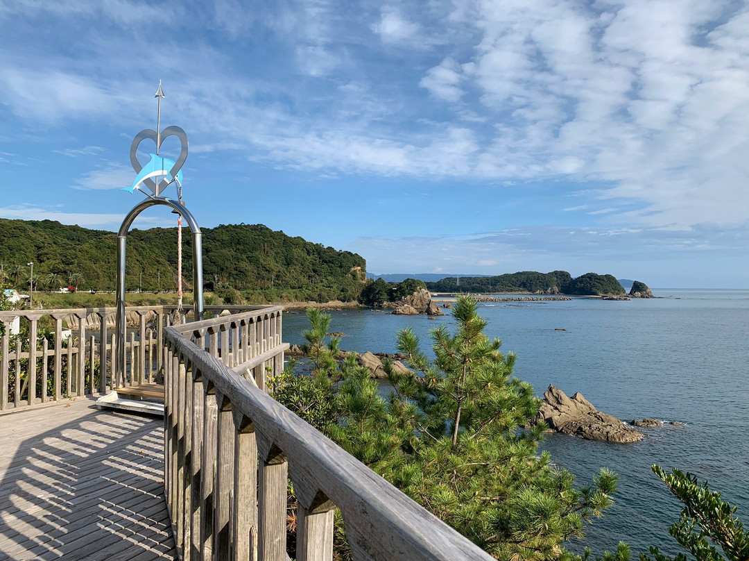 Shibushi Bay Daikoku Dolphin Park景点图片