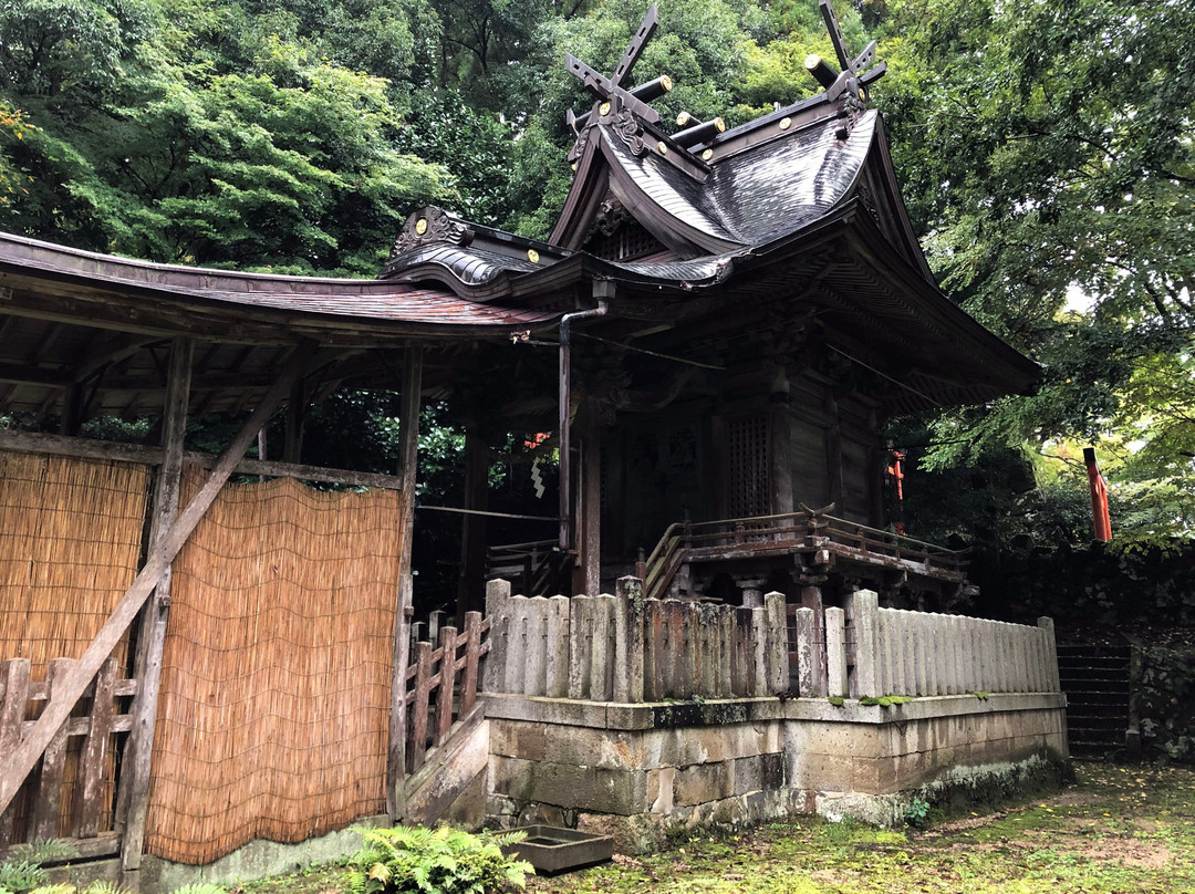 Morosugi Shrine-丰冈市必去景点