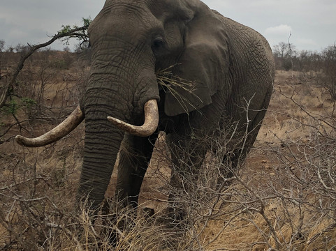 Natural Earth Safaris-霍德斯普鲁特必去景点