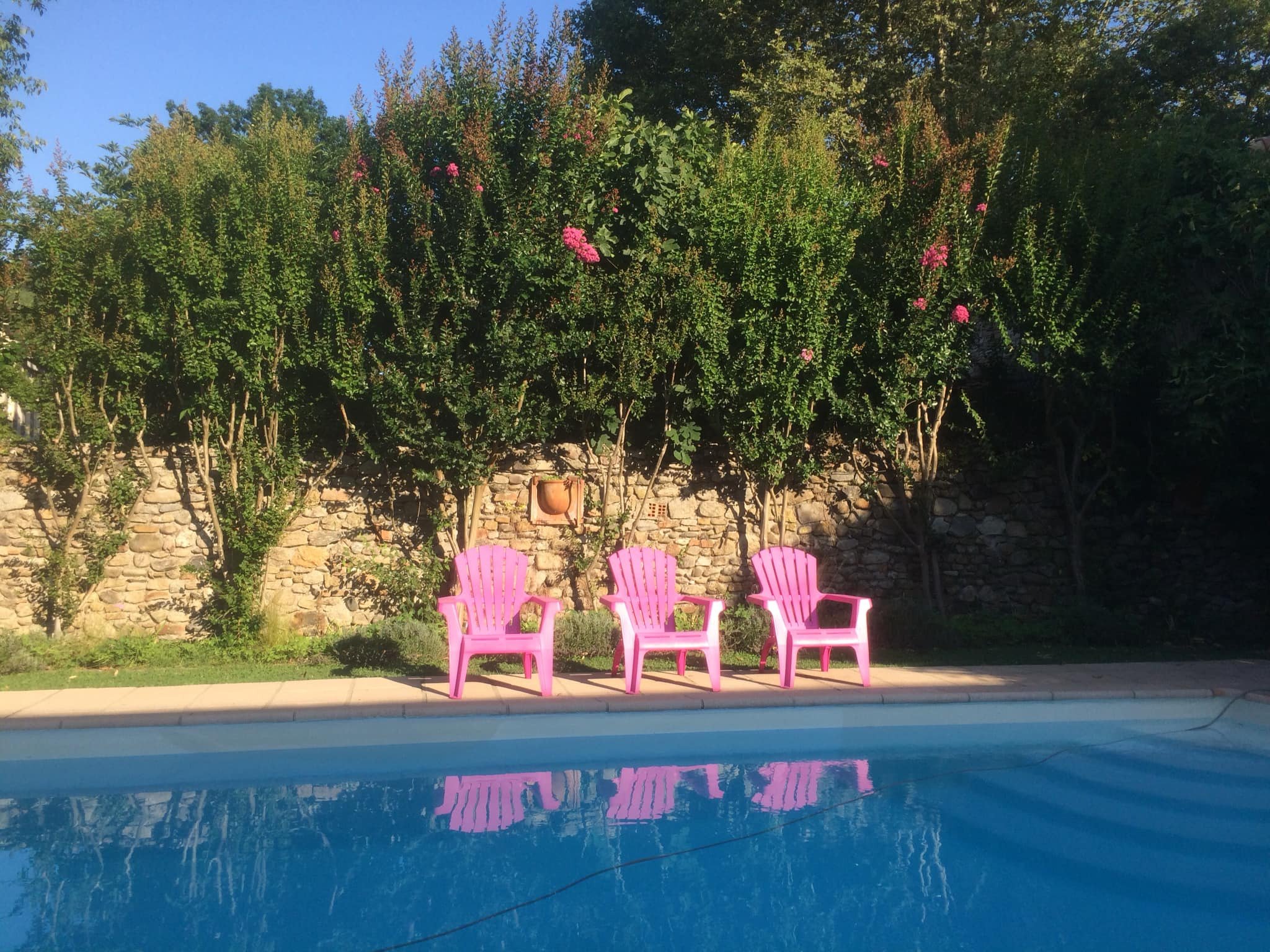 Hotel Les Bellugues-泳池