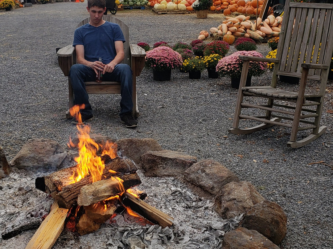 Harvest Moon Pumpkin Patch-塞维尔维尔必去景点