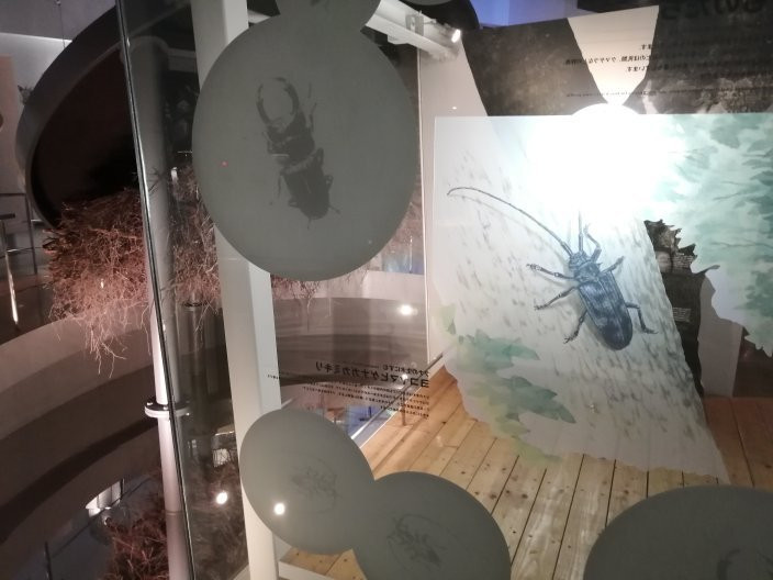 Shirakami Sanchi Visitor Center景点图片