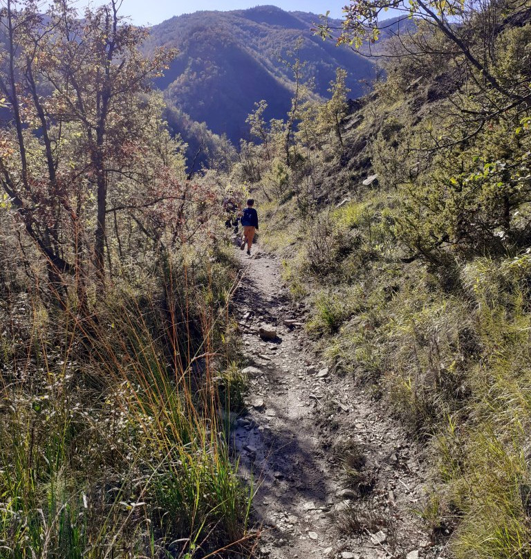 La Valle del Carlone e le sue cascate景点图片