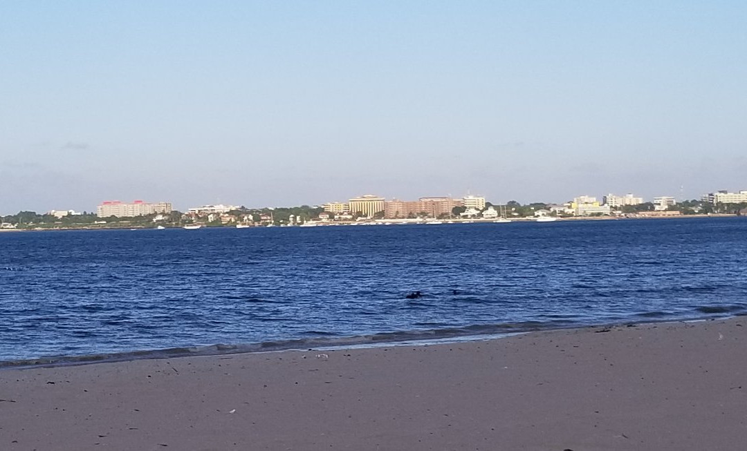 Mbalamwezi Beach Club-Dar es Salaam必去景点