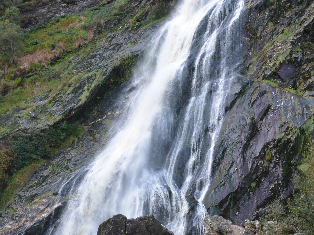 Powerscourt Waterfall景点图片