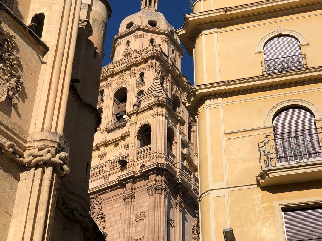 Cathedral de Santa Maria景点图片