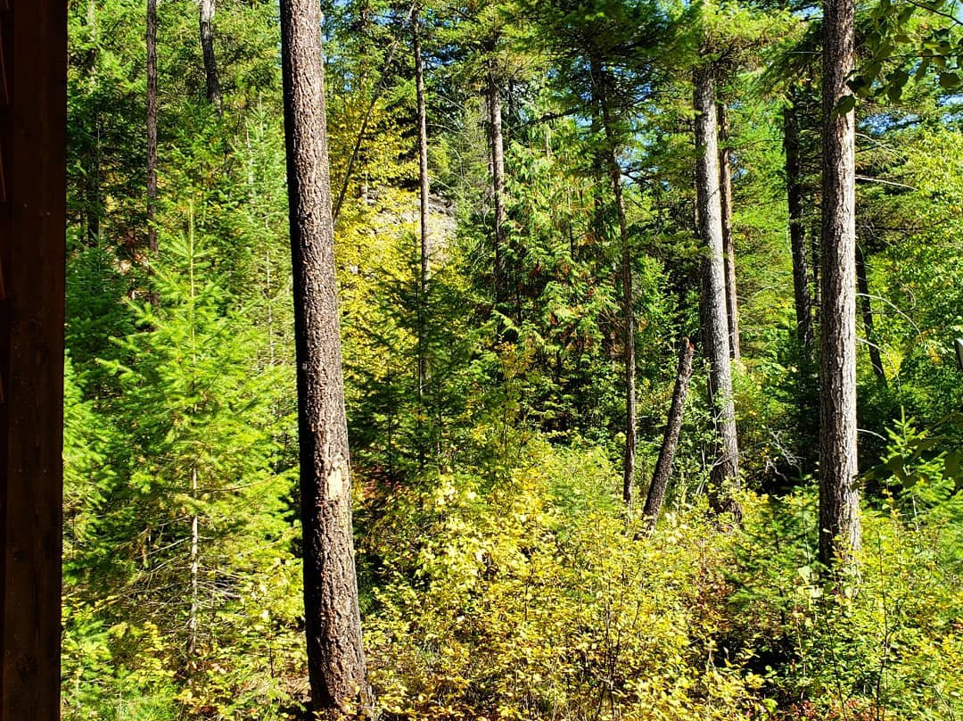 Glacier Guides Lodge主图