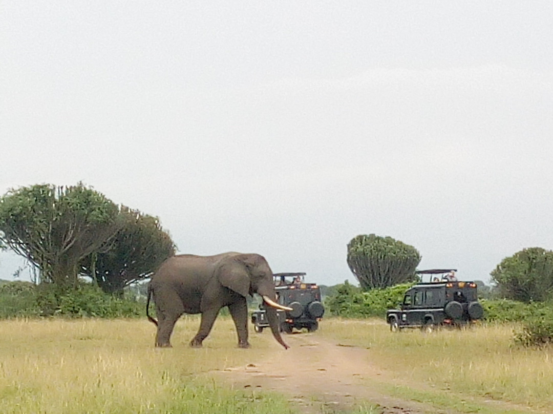 Queen's Pavillon-伊丽莎白女王国家公园必去景点