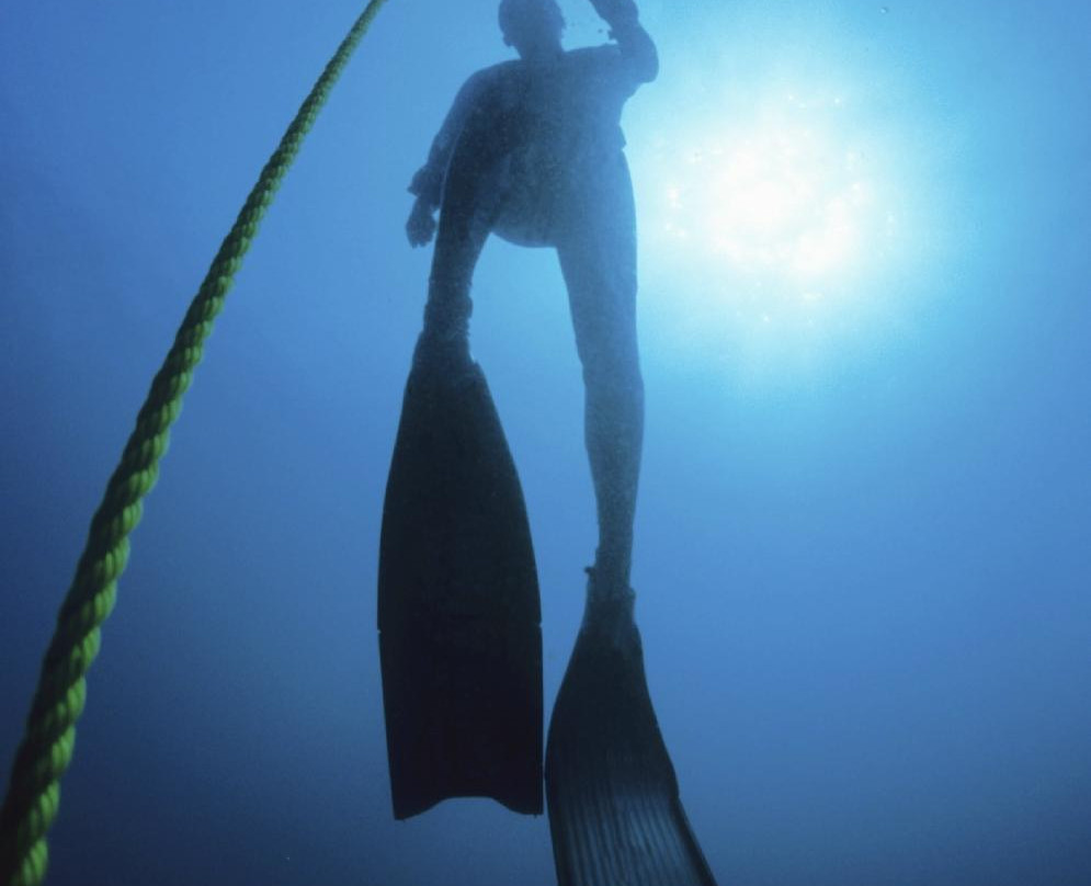 The Freediving Club