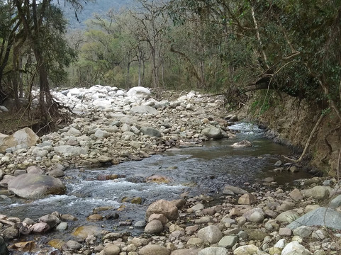Reserva Nacional El Nogalar de Los Toldos-Los Toldos必去景点