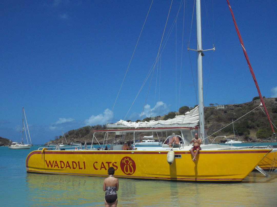 Wadadli Cats-安提瓜必去景点