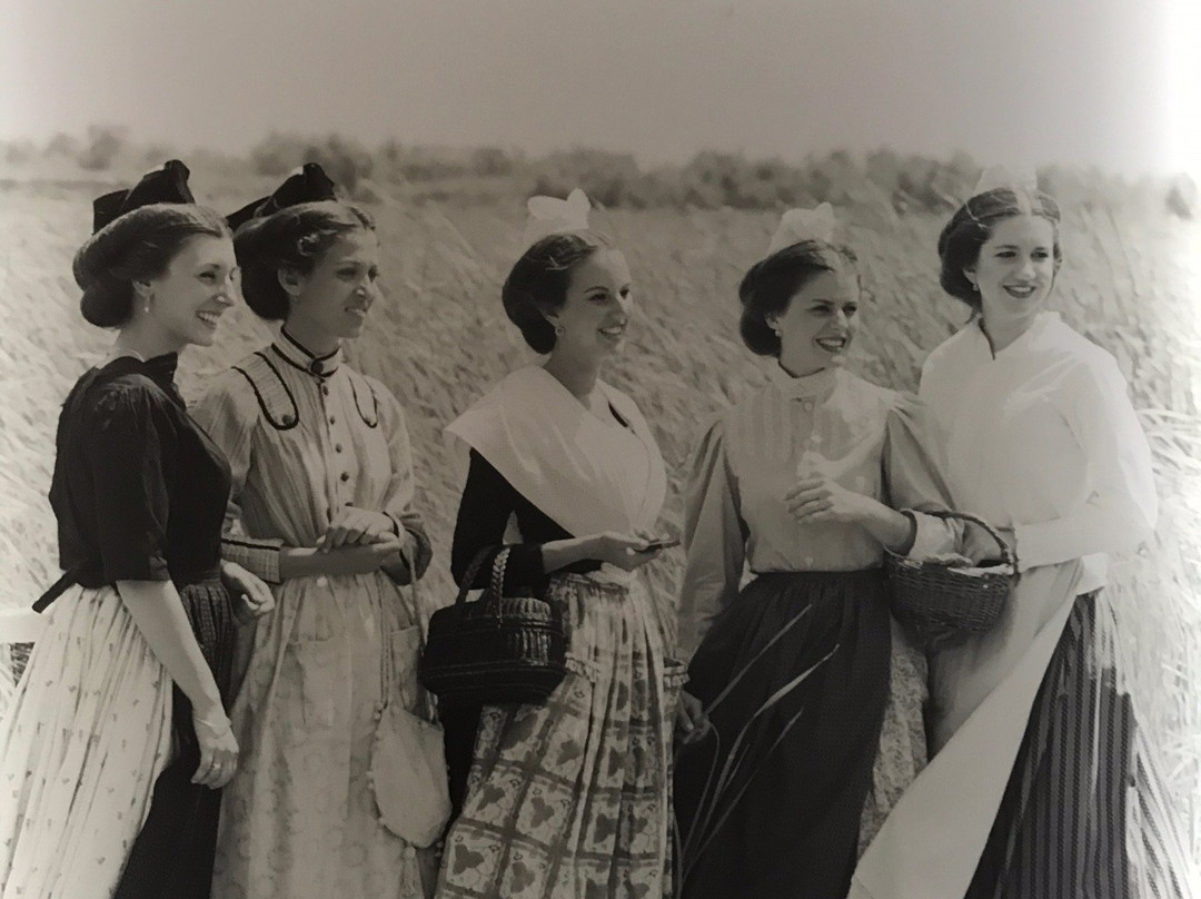 Musee de la Camargue-阿尔勒必去景点