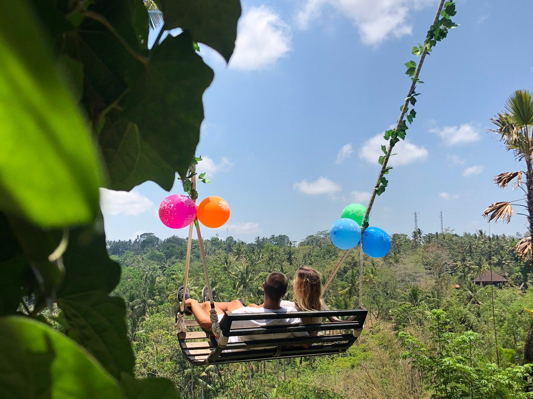 Desa Swing Bongkasa景点图片