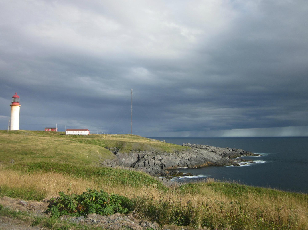 Cape Broyle旅游攻略图片