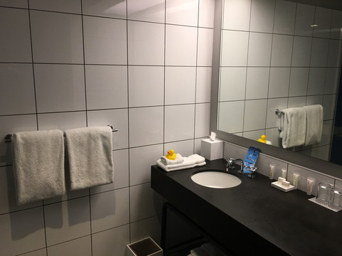 福特森凯悦臻选酒店主图