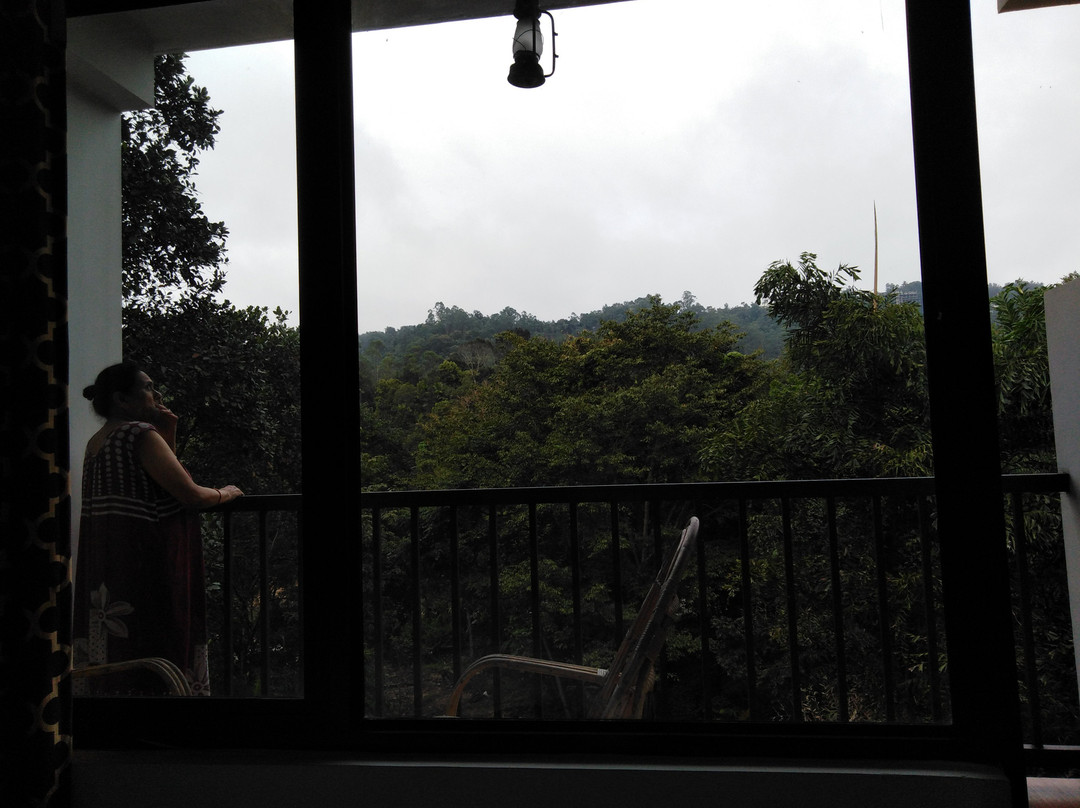 Misty River Resort主图