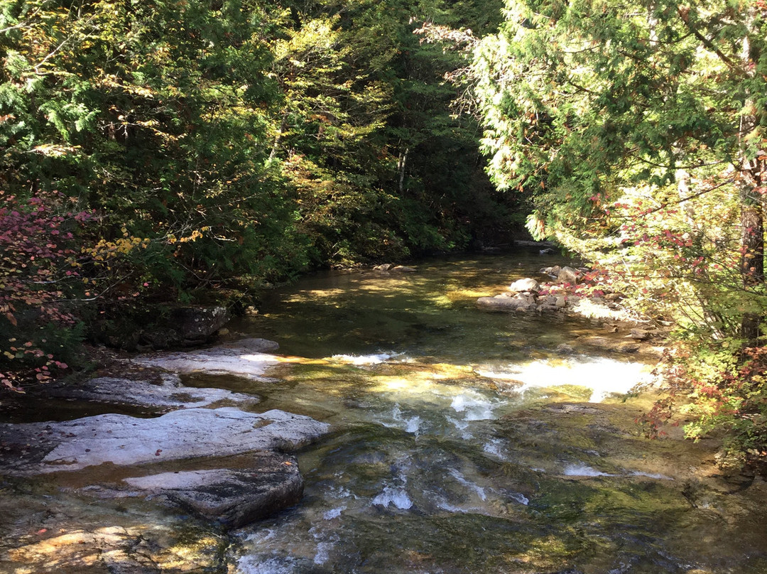 Akasawa Natural Recreational Forest景点图片