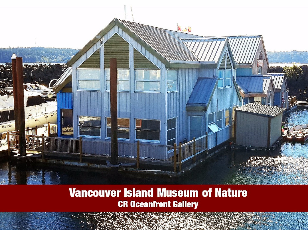 Vancouver Island Museum of Nature景点图片