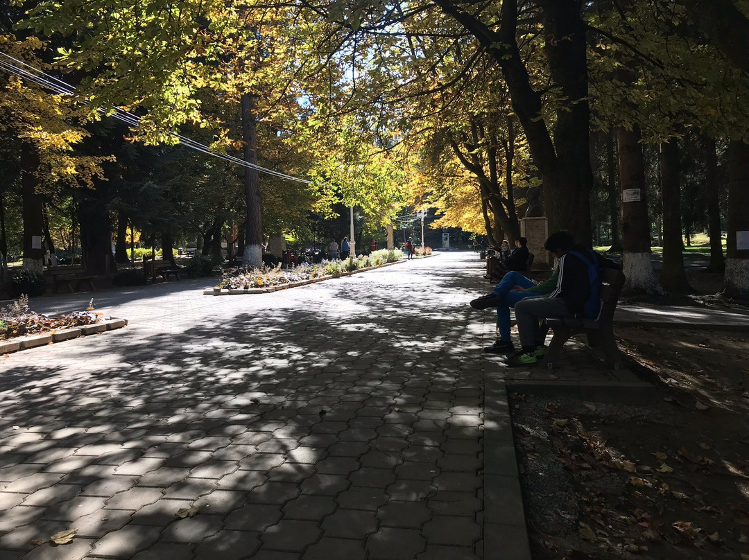 Parcul Central-Vatra Dornei必去景点
