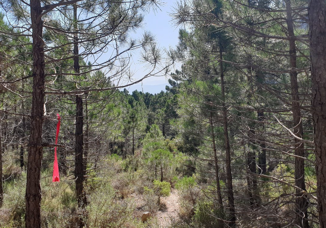 Paraje el Navazo de Abajo-Caravaca de la Cruz必去景点