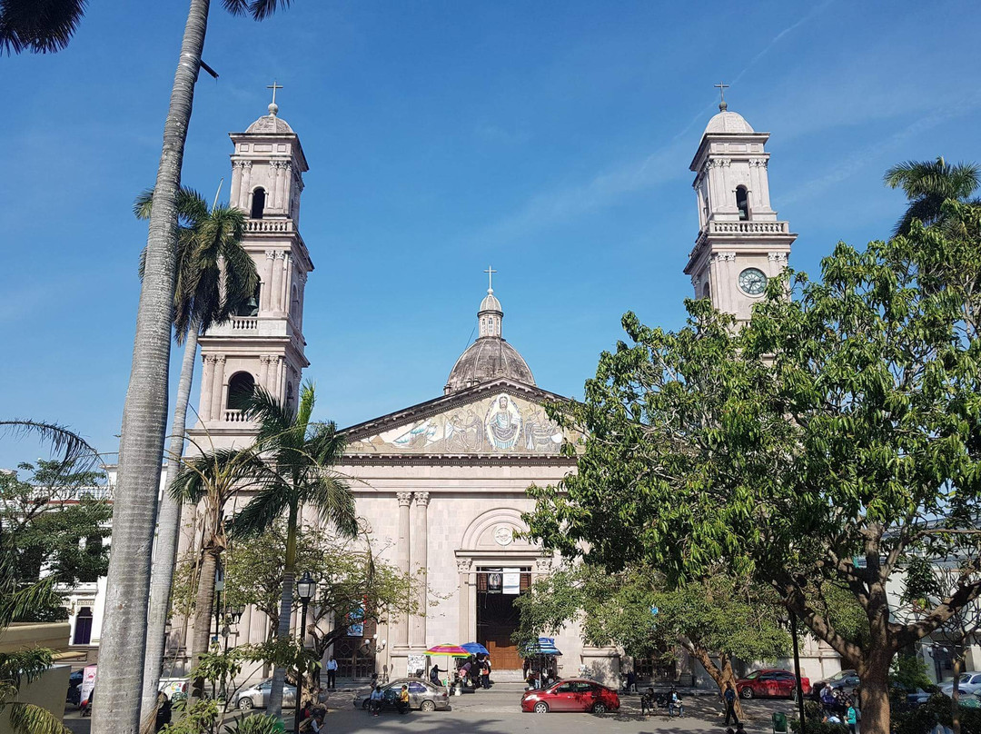 Catedral de la Inmaculada Concepción景点图片