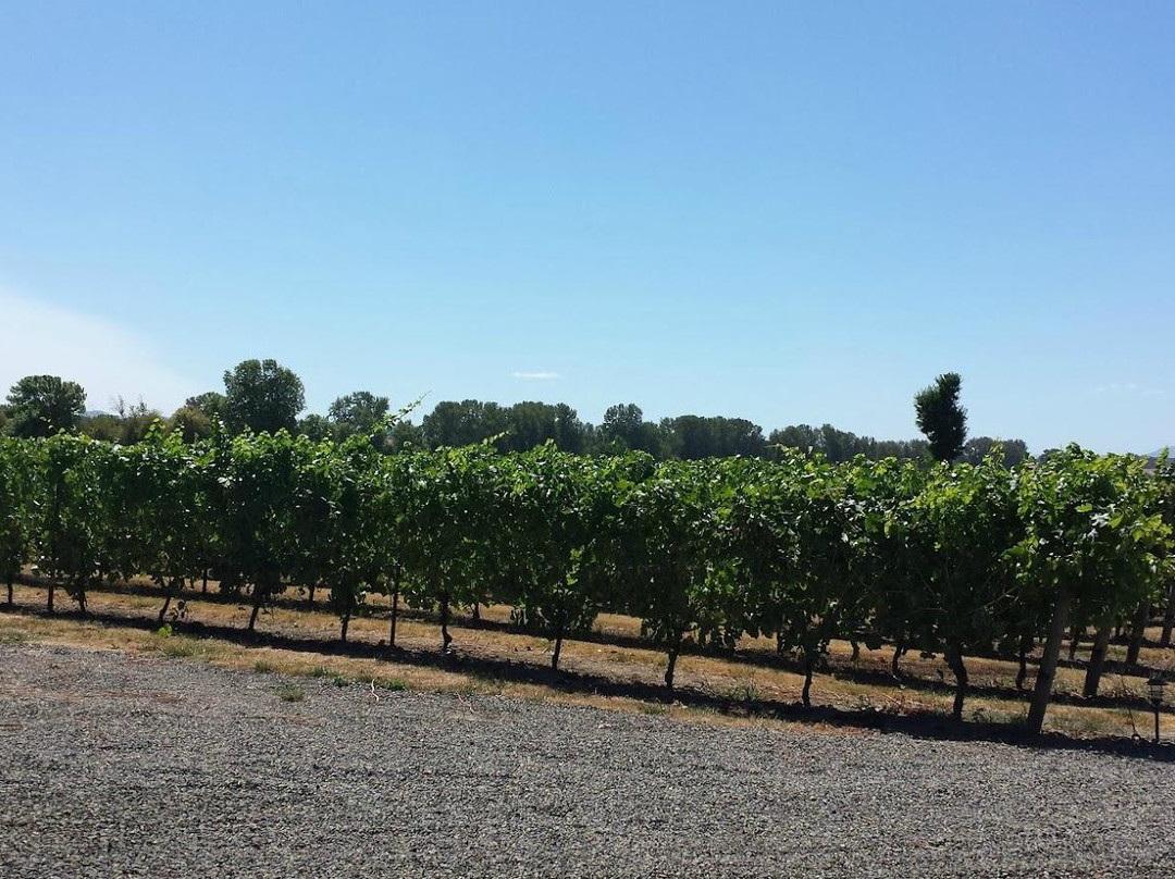 Redgate Vineyard景点图片