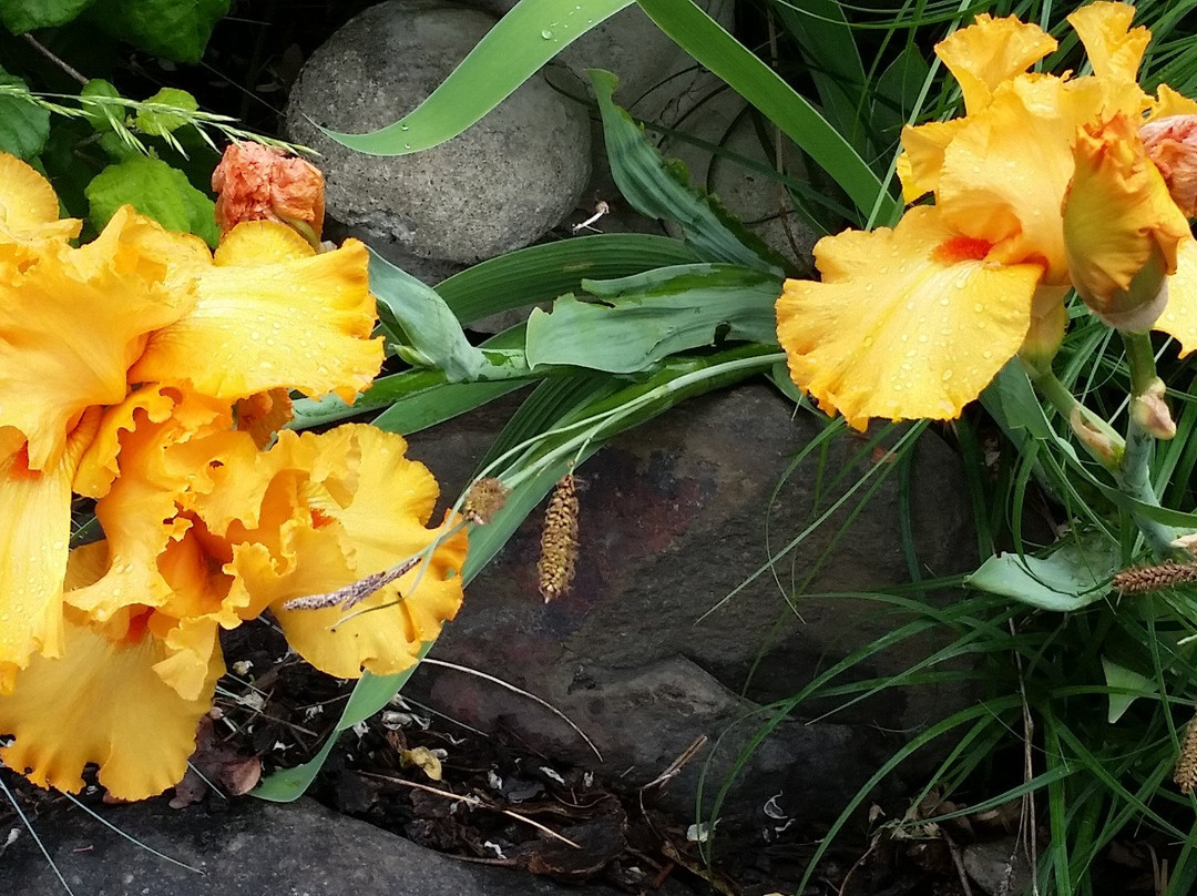 Shady Cove旅游景点-Shady Kate's Boutique