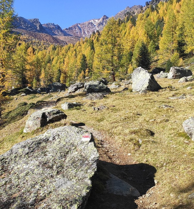 Escursione al Rifugio Canziani al Lago Verde-Ultimo必去景点