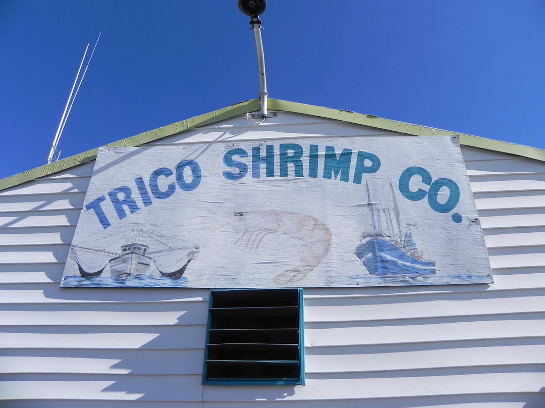 Trico Shrimp Co景点图片