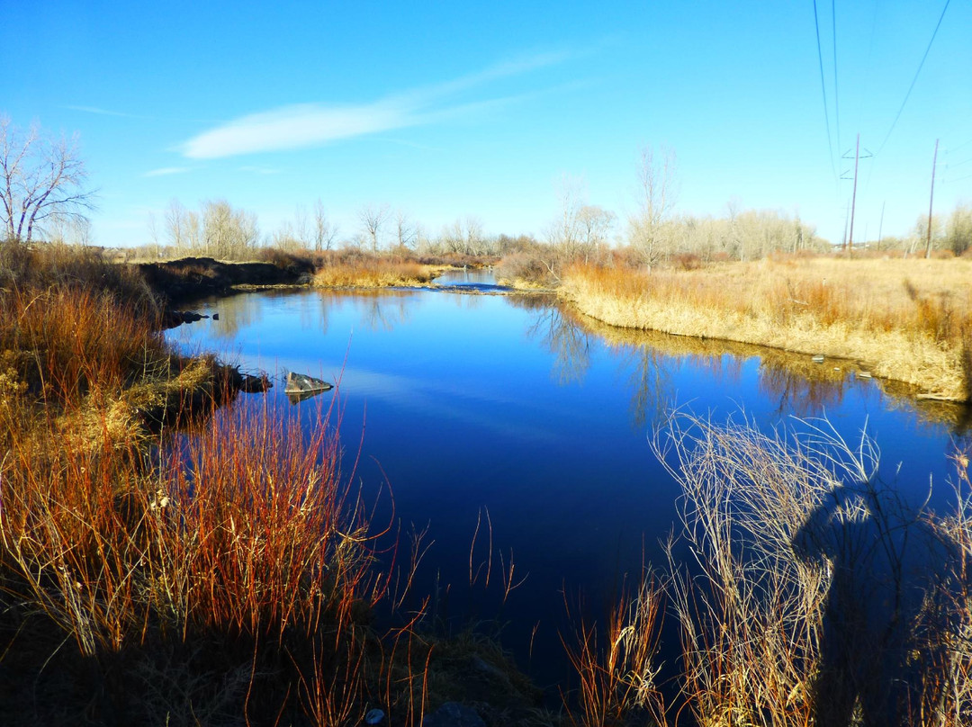 South Platte Park and the Carson Nature Center景点图片