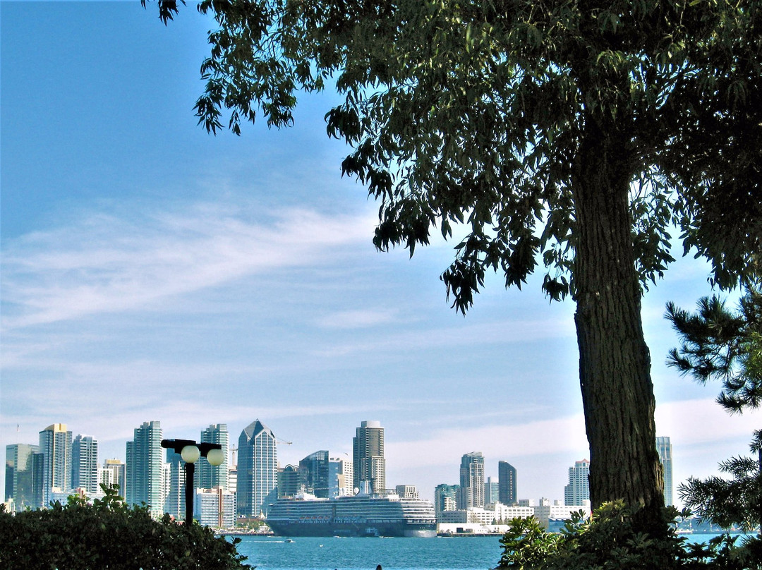 Harbor Island Park景点图片