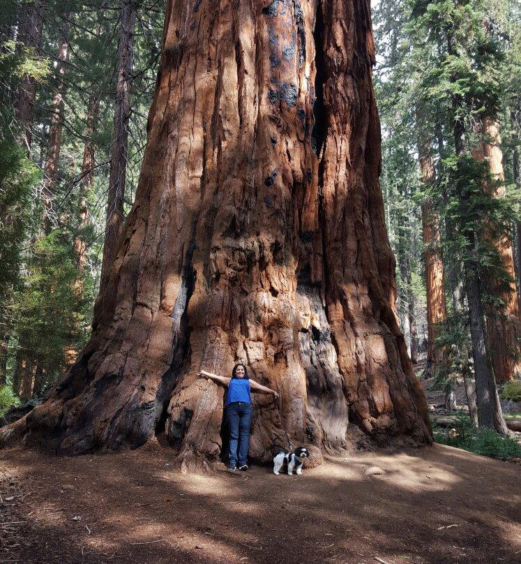 Sequoia Park Garden景点图片