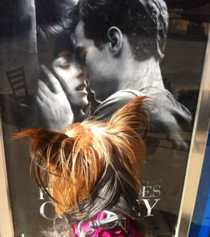 The Rustic Theater & Entertainment Center-Idyllwild必去景点