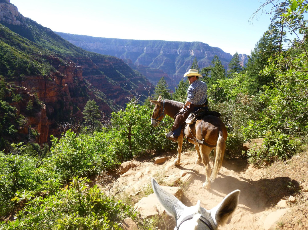 Canyon Trail Rides景点图片
