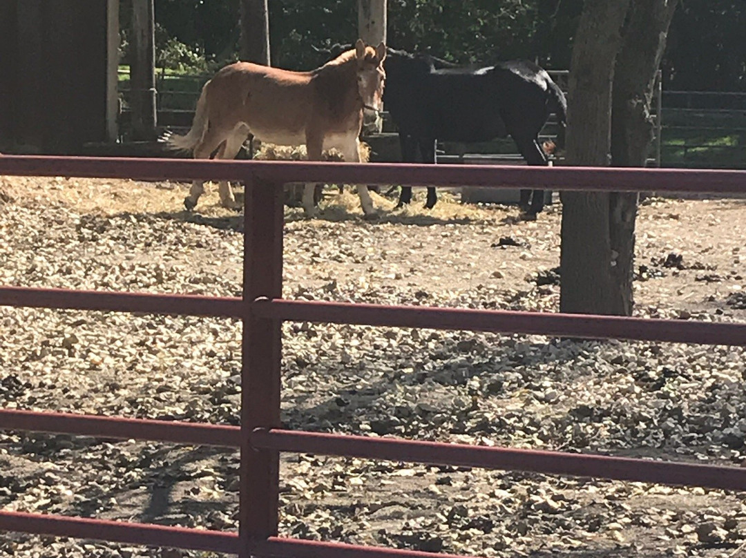Illinois & Michigan Canal State Trail-LaSalle必去景点