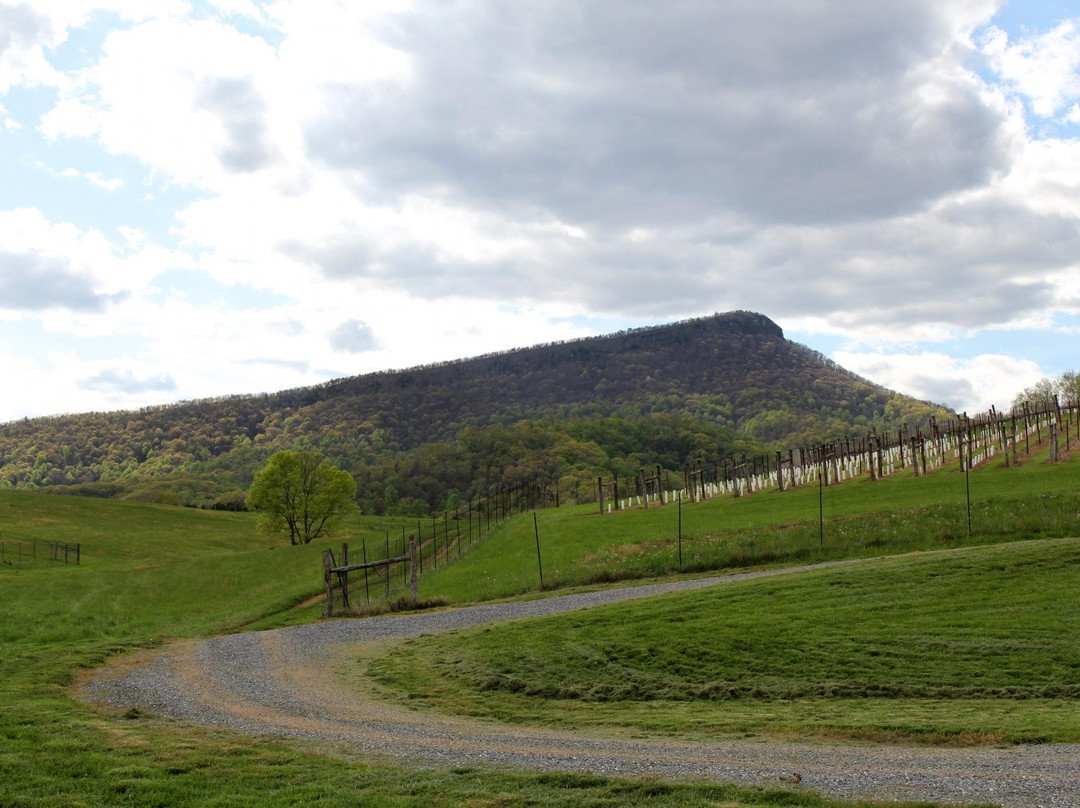 Jump Mountain Winery景点图片